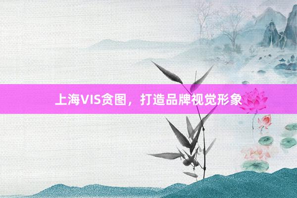 上海VIS贪图，打造品牌视觉形象