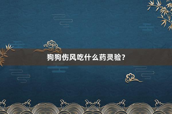 狗狗伤风吃什么药灵验？